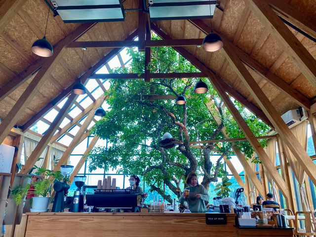 I N   L A  Y A CAFE ఇ 🌳 ⥽ 🏔 𓈒 