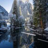 A collection of wintry reflection after fresh snowfall