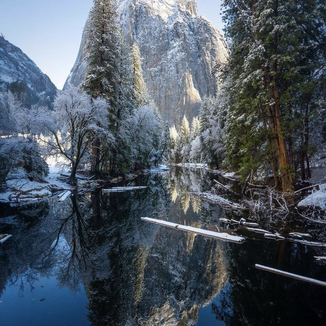 A collection of wintry reflection after fresh snowfall