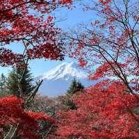 東京-富士山🗻🍁