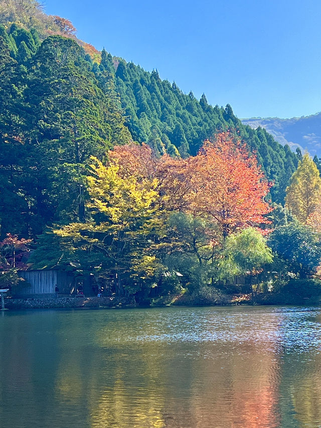 九州｜踏入秋季，接下來的金鱗湖要美瘋了！