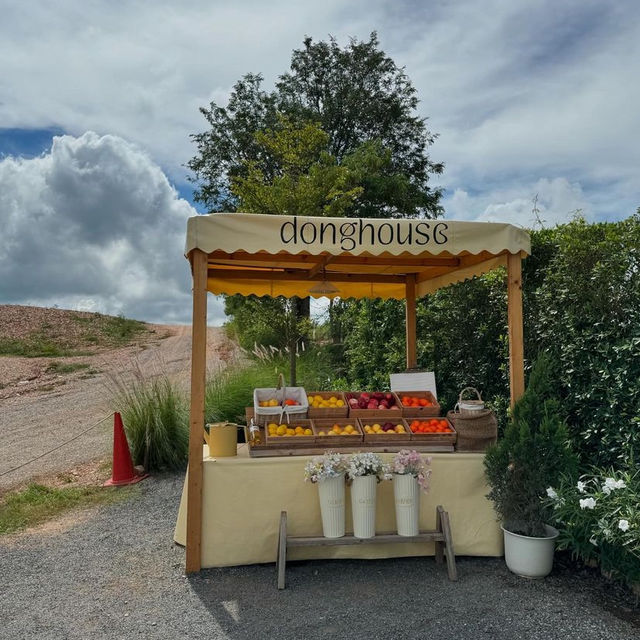 Dong House Cafe 