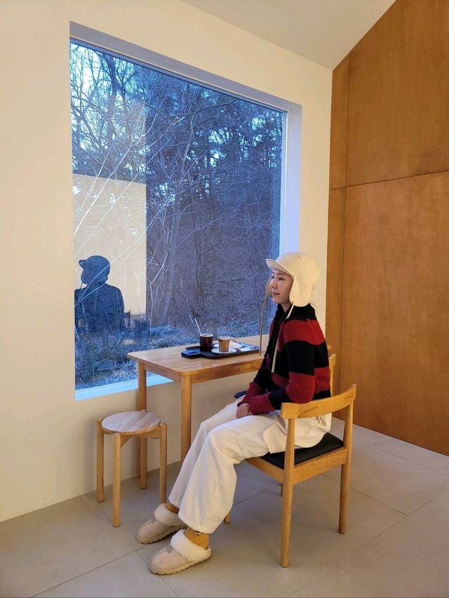겨울에도 예쁜 봉화 감성카페 비진숲🩵