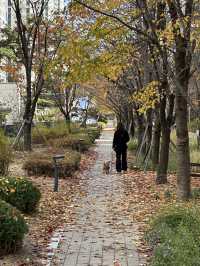 단지 중앙에 예쁜 단풍과 🌳 소담한 산책길을 경험할 수 있는 송파 공원 여행지 추천🍁