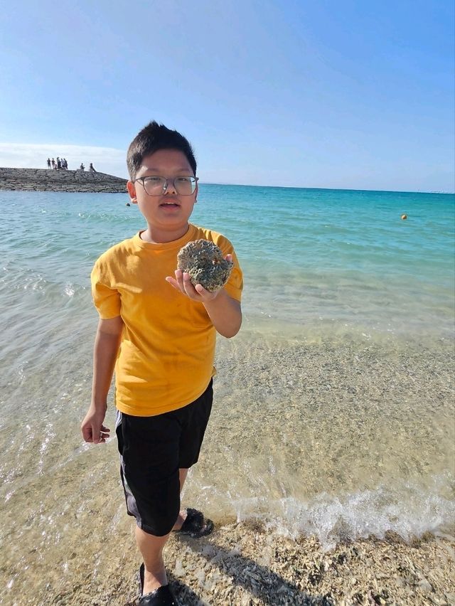 豊崎海浜公園