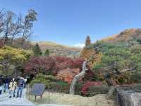형형색색의 한국의 가을로 오세요 🍂