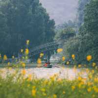 Life in Ninh Binh City: A Gateway to Nature and Tradition