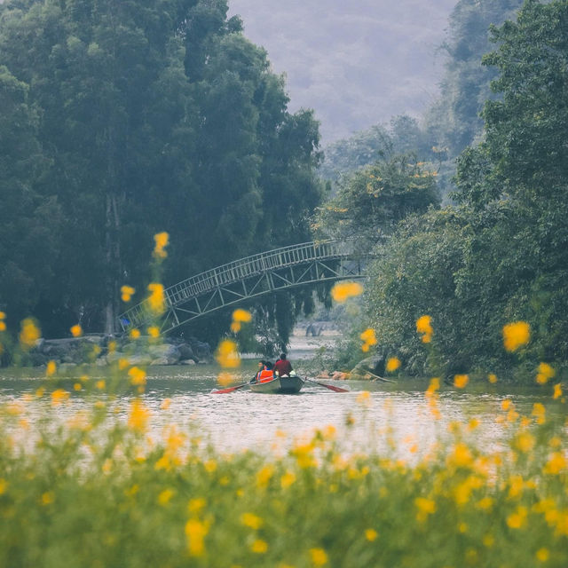 Life in Ninh Binh City: A Gateway to Nature and Tradition