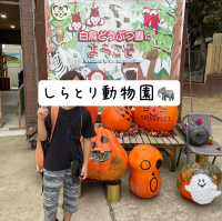 🇯🇵【香川県】しらとり動物園🐘へ行こう！🦁