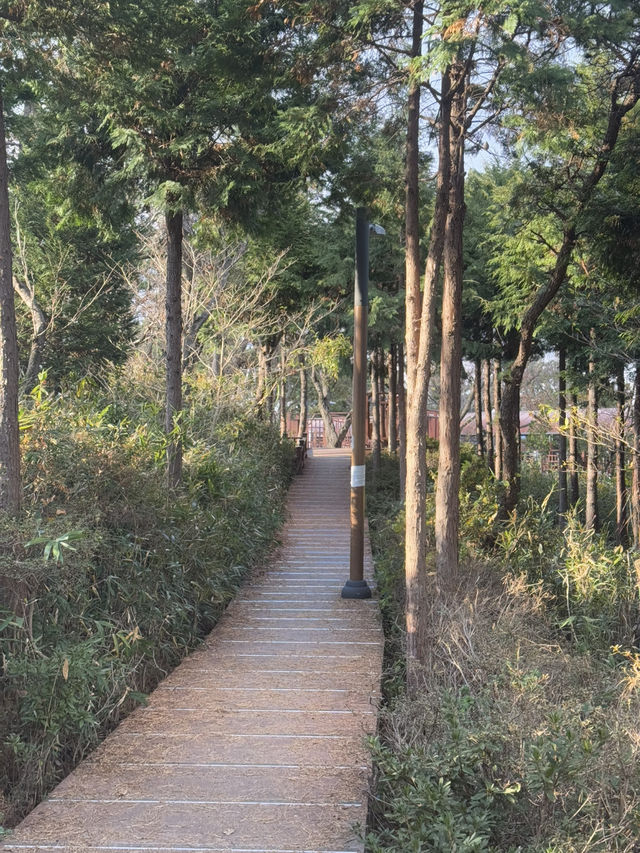바다와 산을 한곳에서!