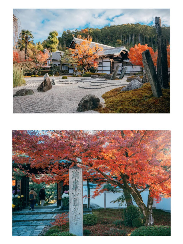 景點推薦：圓光寺——京都紅葉的隱藏秘境