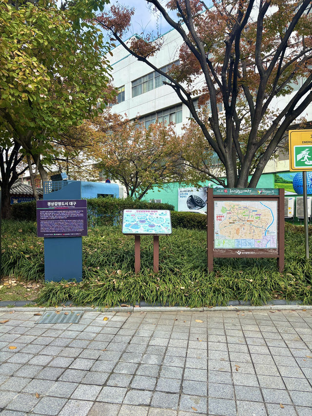 2021년 국가 유산보물로 선정된 대구 경상감영공원✨💛