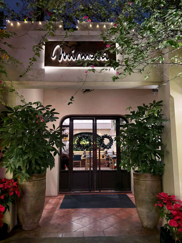 Mimosa Italian Mediterranean Restaurant