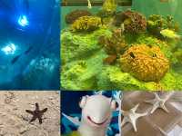 สำรวจโลกใต้ทะเลที่ Bangsaen Aquarium 🐠