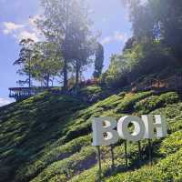 2D1N Family Escape to Cameron Highlands!