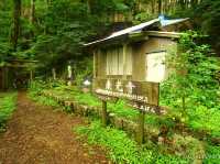 【徳島県】苔の名所でミニお遍路体験も！「山犬嶽」