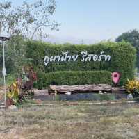 ภูผาฝ้ายรีสอร์ท