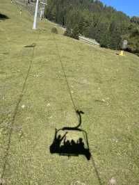 Feel the Rush at Churwalden Pradaschier Mountain Coaster in Switzerland