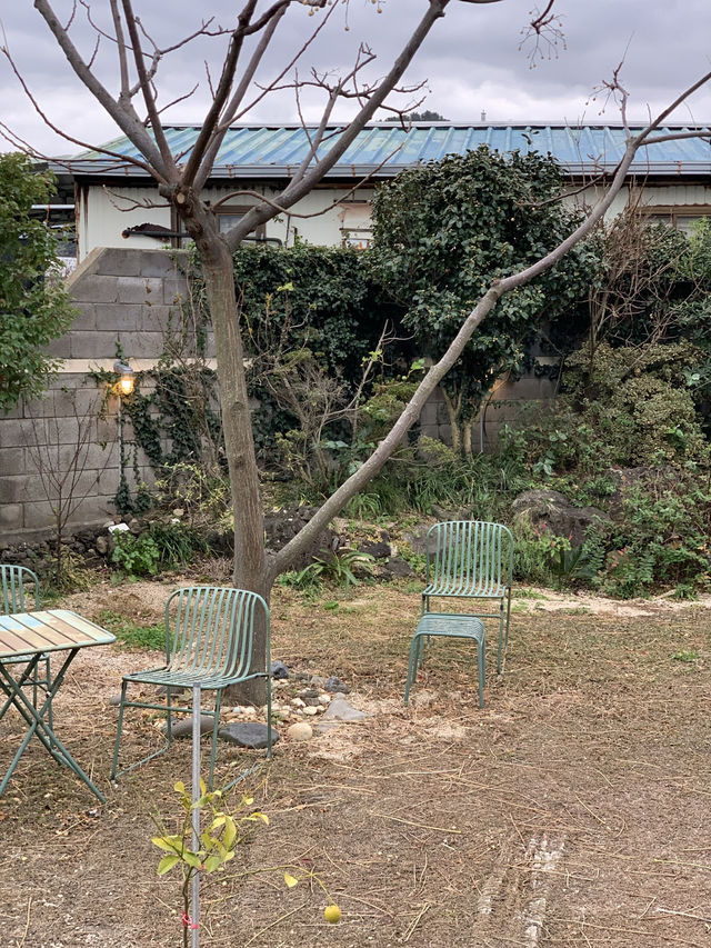 제주도 고토 커피바