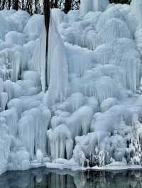어디 북유럽아니고 대한민국 의정부의 겨울왕국, 달리온⛄️🇰🇷