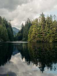 溫哥華林恩峽谷公園 Lynn Canyon