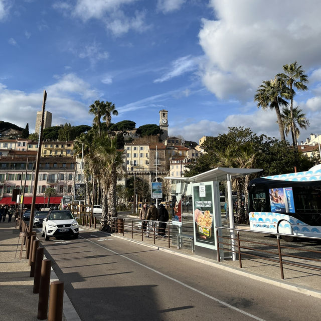 【フランス🇫🇷カンヌ】オフシーズンのカンヌの楽しみ方