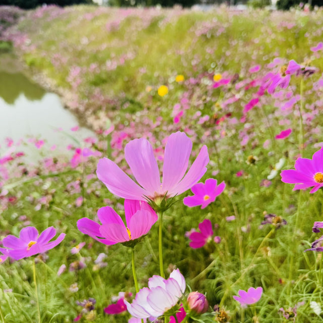 Amazing Trip to Khon Kaen