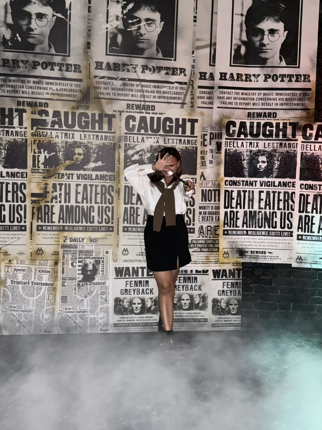 Harry Potter Visions of Magic In Singapore 🇸🇬