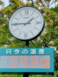 여름 삿포로 3박 4일 여행경비🇯🇵