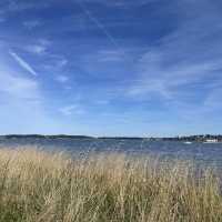 Relaxing in Roskilde-Copenhegen