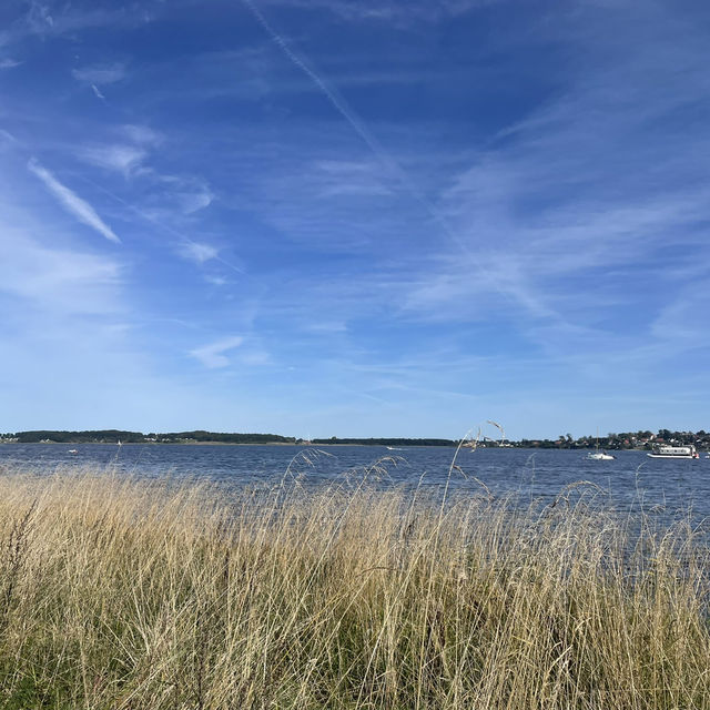 Relaxing in Roskilde-Copenhegen