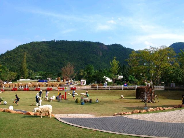 เดอะ ซีนเนอรี่ วินเทจ ฟาร์ม เที่ยวสวนผึ้ง ราชบุรี