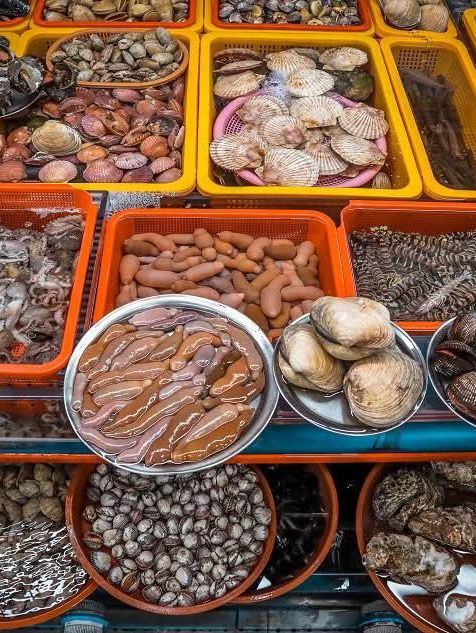 ตลาดปลาจากัลชี (Jagalchi Market) 😍🦀🐚