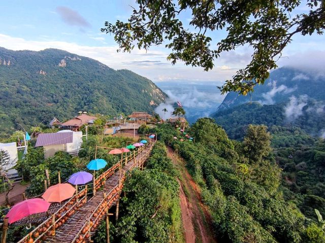 สะพานไม้ไผ่ไร่ผาฮี้&ที่พักเต็นท์โดม บ้านผาฮี้ 