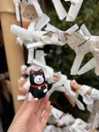 【東京】看板犬こいしちゃんに会いに行きたい🤍毎月行きたい神社⛩✨