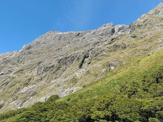 Exploring the Untamed Wilderness of Fiordland National Park