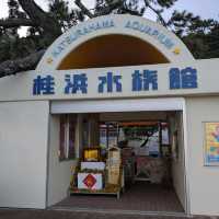 【ジェットスターで行く】高知ふらっと旅！