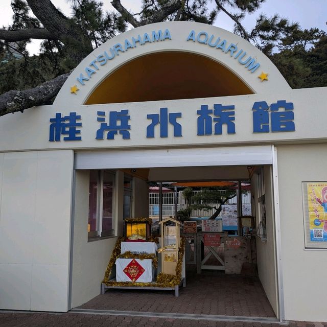 【ジェットスターで行く】高知ふらっと旅！