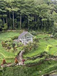 Le Eminence Bogor: A Mountain Escape