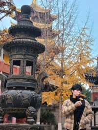 ✨Baolun temple Chongqing