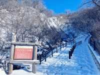 【週末で堪能】北海道網走1泊2日と冬の魅力を満喫する旅