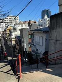 東京五日遊行程建議