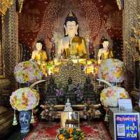พามูวัดป่าแดด 🙏🏻