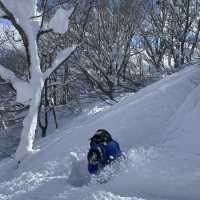 Bluebird Powder day in Cortina, Hakuba, Japan ! 