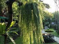 Nakara Jardin 