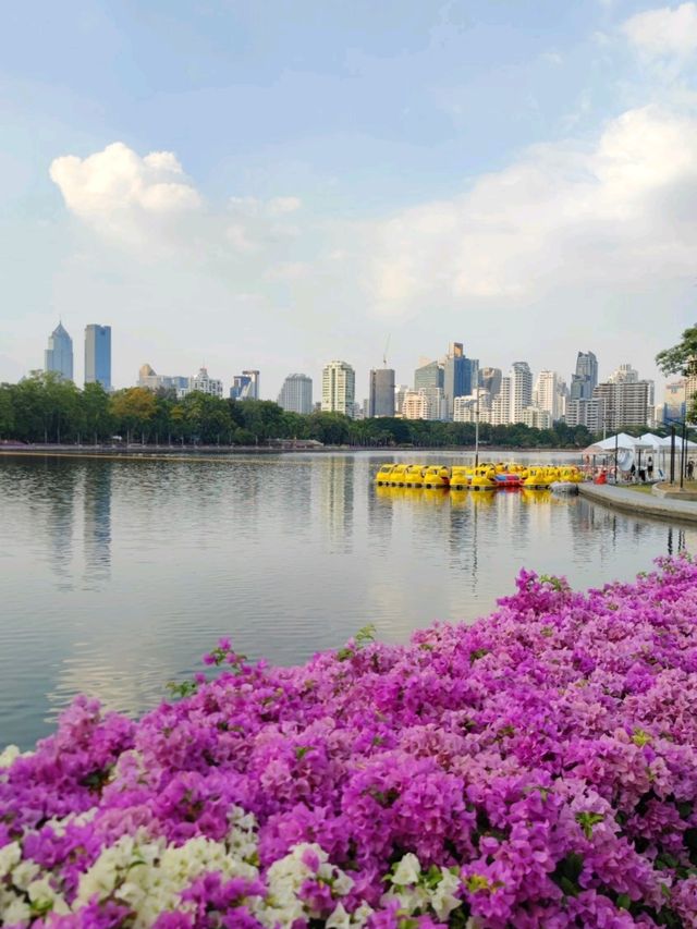 เดินเล่นรับลมหนาวที่ สวนเบญจกิติ กรุงเทพมหานคร