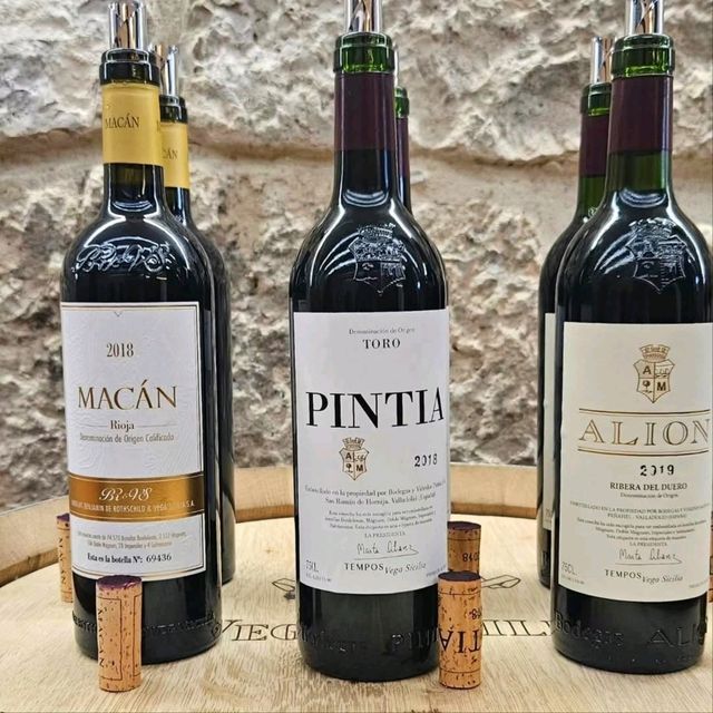 西班牙酒王 Vega Sicilia 酒莊遊