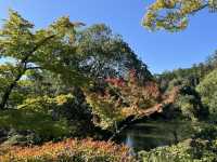 The Golden Pavilion: Kyoto’s Majestic Treasure