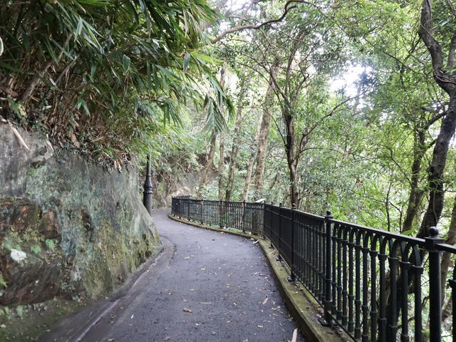 The Road Less Traveled: Lugard Road Lookout Near Victoria Peak