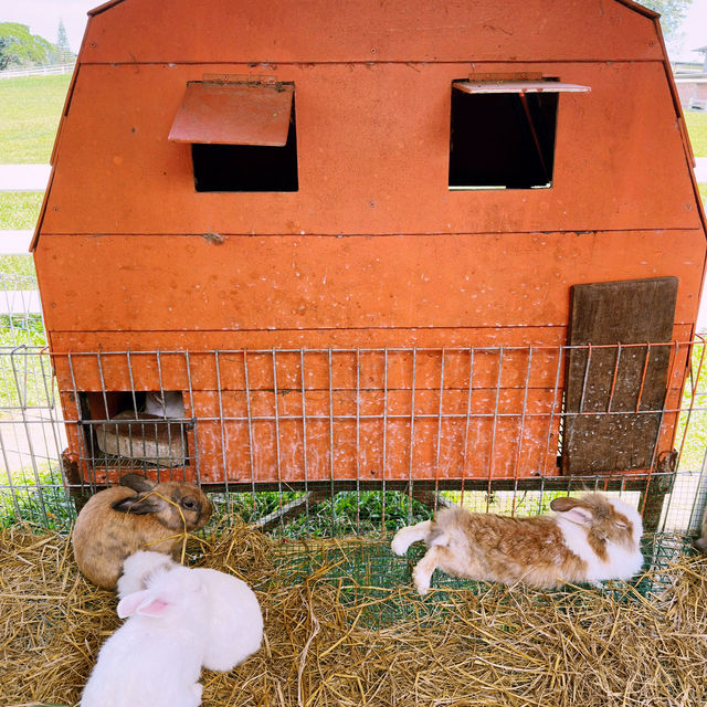 Fresh From the Farm: A Dairy Delight at Farm Fresh @UPM!
